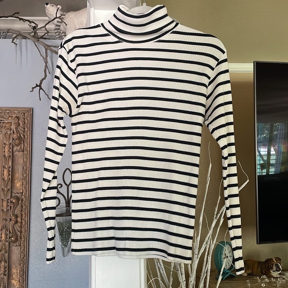 Striped turtleneck longsleeve